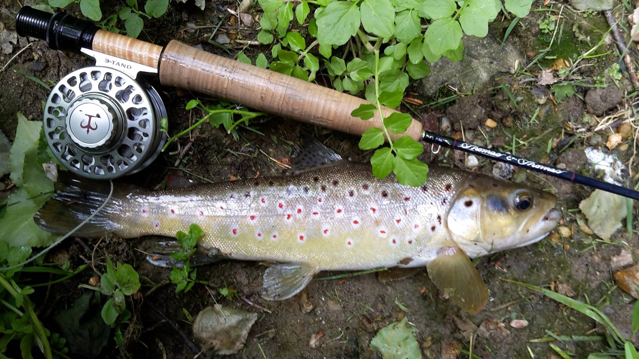 Sortie de pêche de l'association Hameçon Versonnais