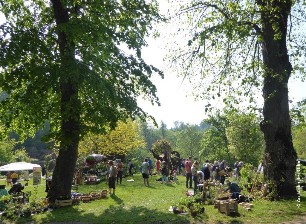 Arts et plantes en fête