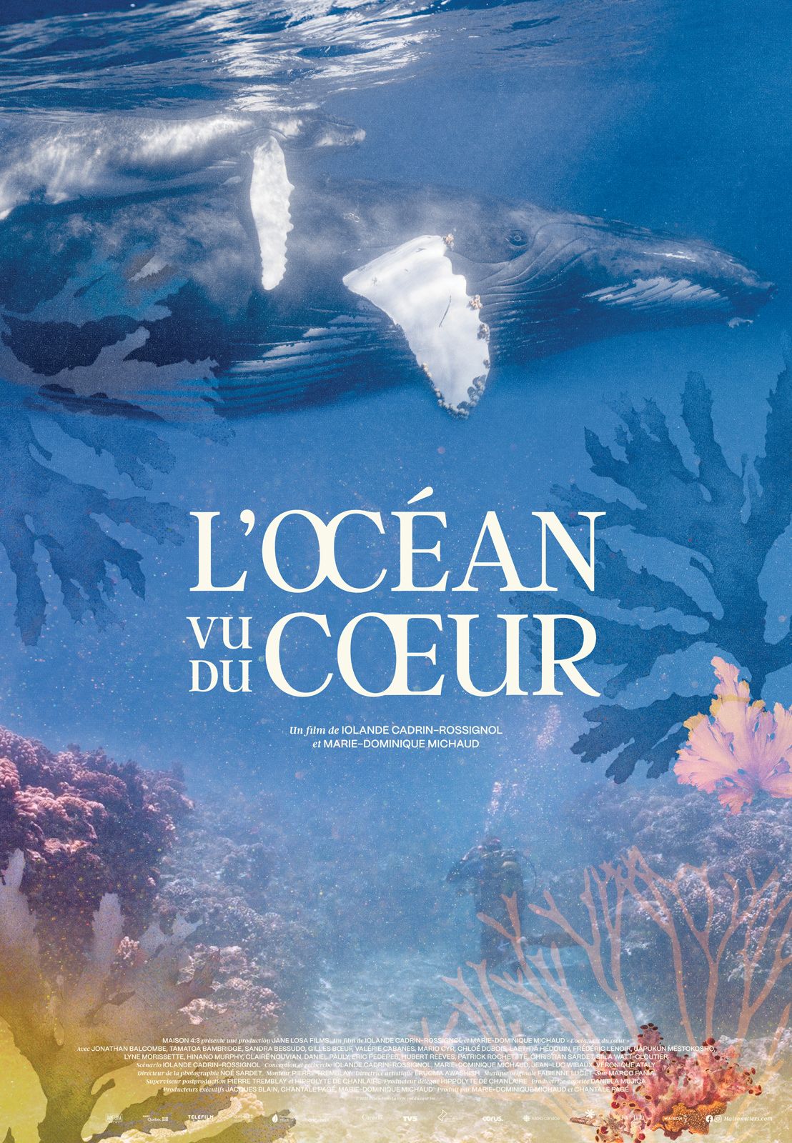 Le mois du doc : l’océan vu du cœur