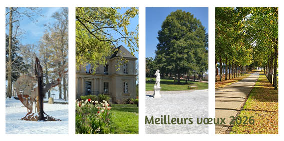 Cérémonie des vœux