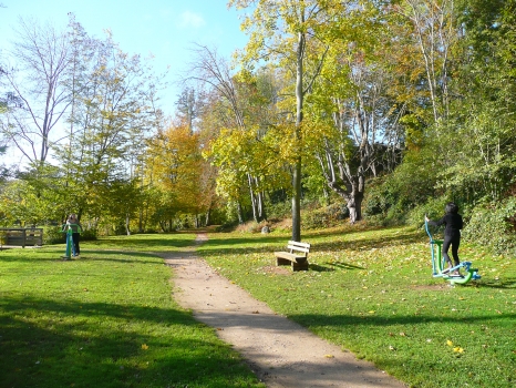 Appareils de Fitness Parc de la Mairie