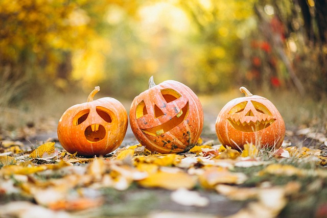 Fête d&rsquo;Halloween et de l&rsquo;automne