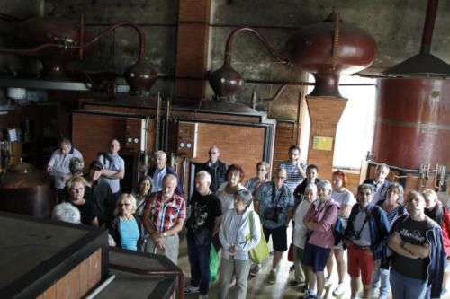 Visite d'une distillerie de Calvados